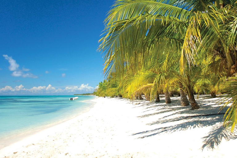 Day trip to Saona Island from Punta Cana with lunch and more