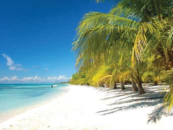 Punta Cana: tour in motoscafo e catamarano all'isola di Saona
