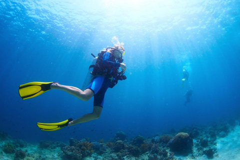 Hurghada: Scuba Diving for Certified Divers & Beginners Boat trip for the Certified Divers with Lunch & Transfer