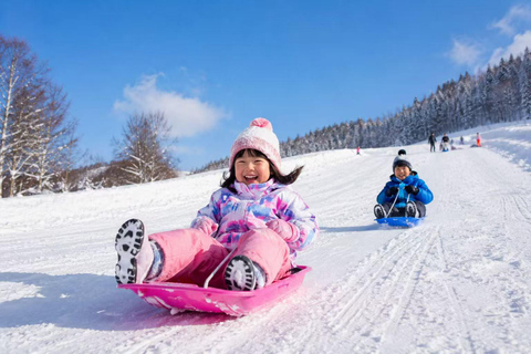 From Sapporo: Snow Fun, Shirahige Falls & Ningle Terrace