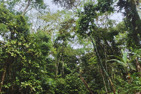 Private Kayaking Adventure: a 2-hour Wildlife Escape Self-Guided Kayaking Adventure: a 2-hour Wildlife Escape