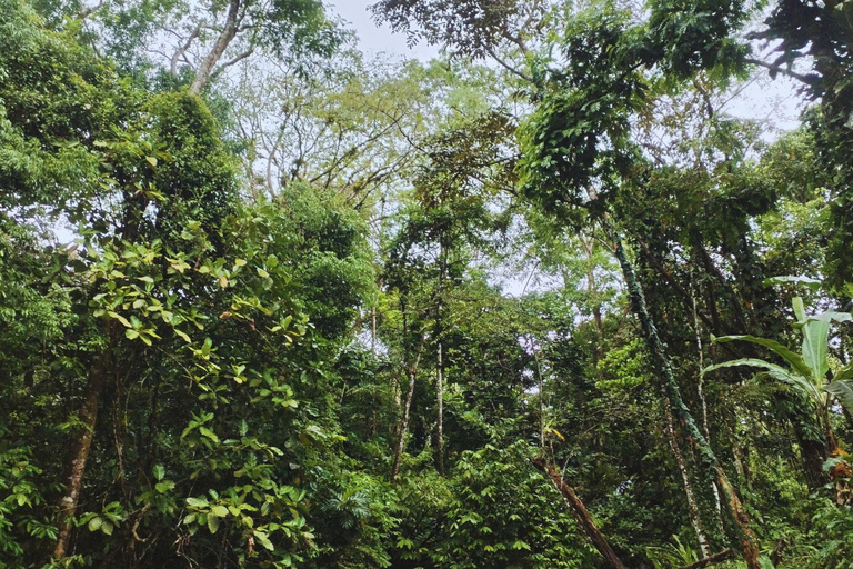 Private Kayaking Adventure: a 2-hour Wildlife Escape Self-Guided Kayaking Adventure: a 2-hour Wildlife Escape