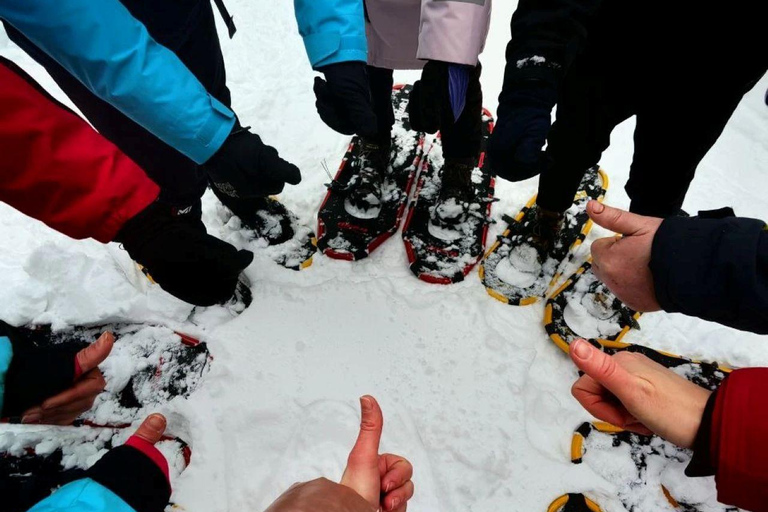 Levi: Snowshoe Survival Experience