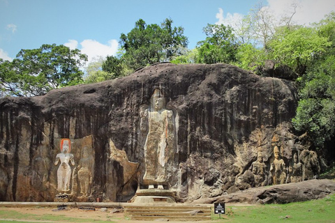 Vanuit Galle/Weligama/Mirissa/Tangalle: Dagtrip naar Ella