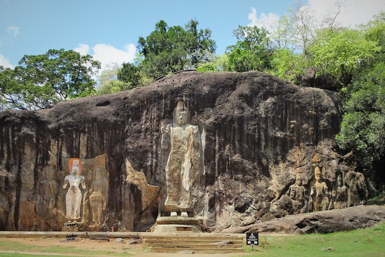 Vanuit Galle/Weligama/Mirissa/Tangalle: Dagtrip naar Ella