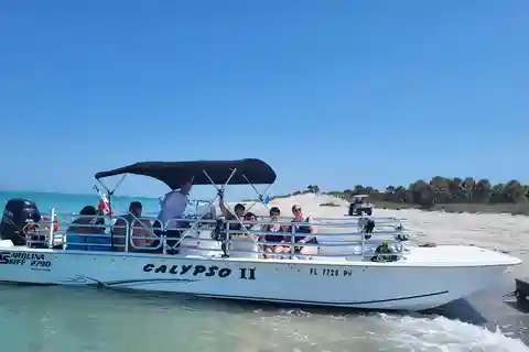 2.5 Hour Shell Key Island Adventure - Dolphins And Shells