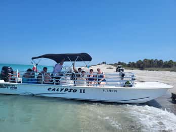 2,5-stündiges Shell Key Island Abenteuer - Delfine und Muscheln