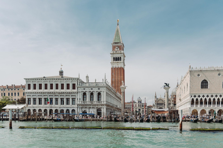 Venice: Grand Canal by Boat with Expert Guide