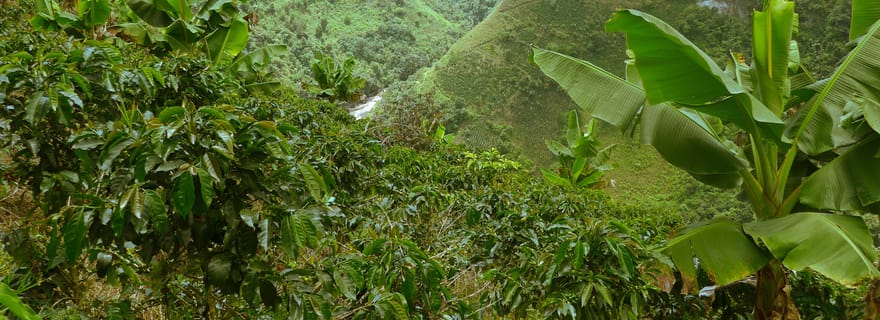 Visite privée en jeep des environs de San Agustín