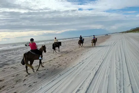 Amelia Island: Äventyr på stranden med ridning på hästryggen