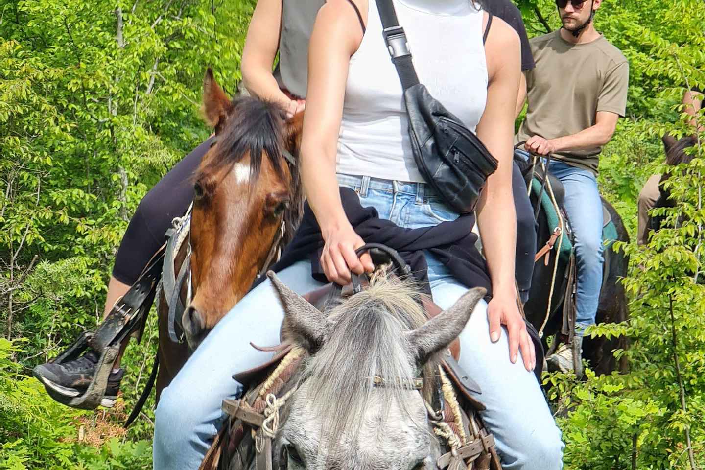 佩尔梅特：惊艳的维约萨国家公园骑马体验