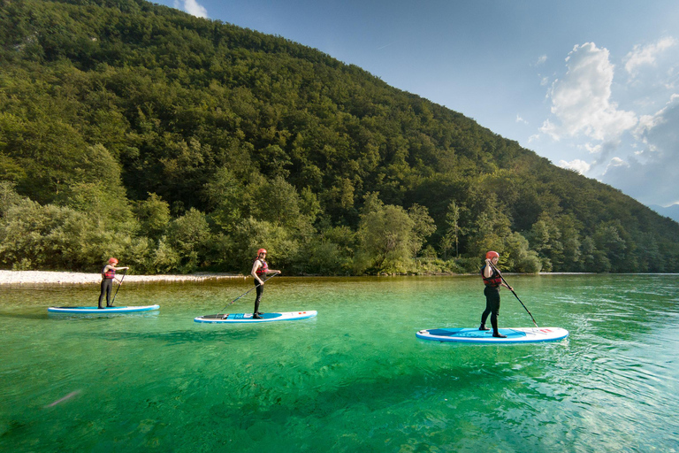 Soča Whitewater Stand-up Paddle Board: Aventura para pequenos grupos