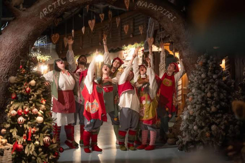 Rovaniemi: SantaPark All-Day Adventure with Lunch