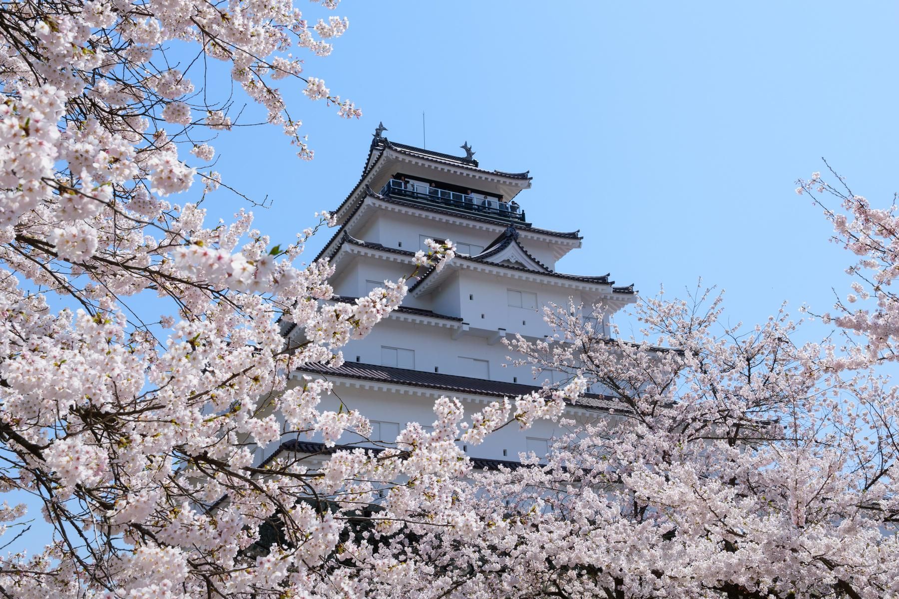 Private Tour durch Aizu mit staatlich geprüften Guides