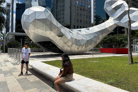 São Paulo's Best Attractions: 5h Private Tour (Hotel Pickup) São Paulo Best Attractions: 8h Private Tour