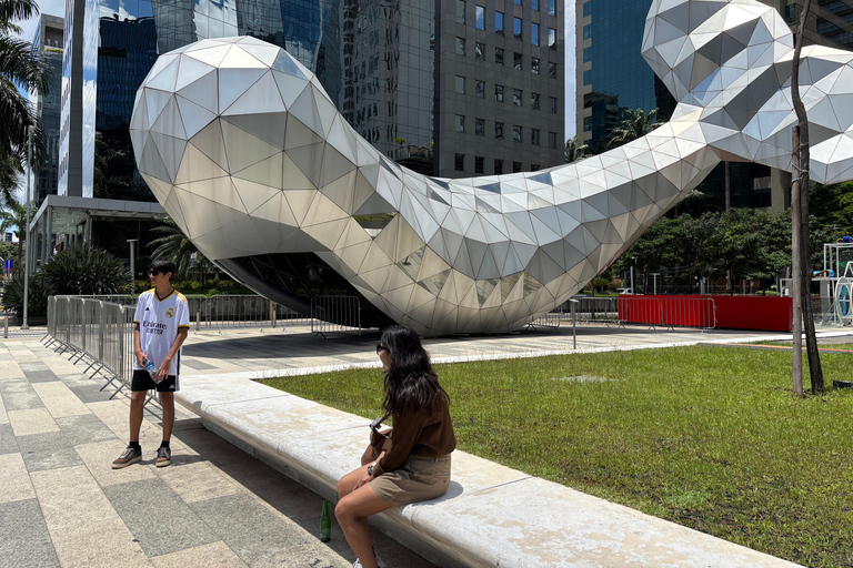 São Paulo's Best Attractions: 5h Private Tour (Hotel Pickup) São Paulo Best Attractions: 8h Private Tour
