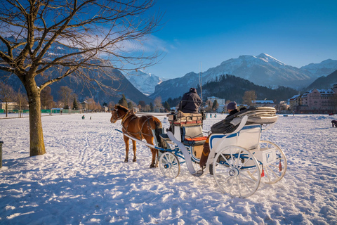 Interlaken: Tour dei punti salienti con carrozza a cavallo