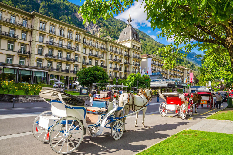 Interlaken: Lake Brienz Cruise and Rothorn Steam Train