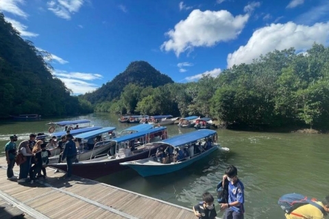 Excursion dans les mangroves à Langkawi : Excursion de trois heures dans la mangrove (privée)