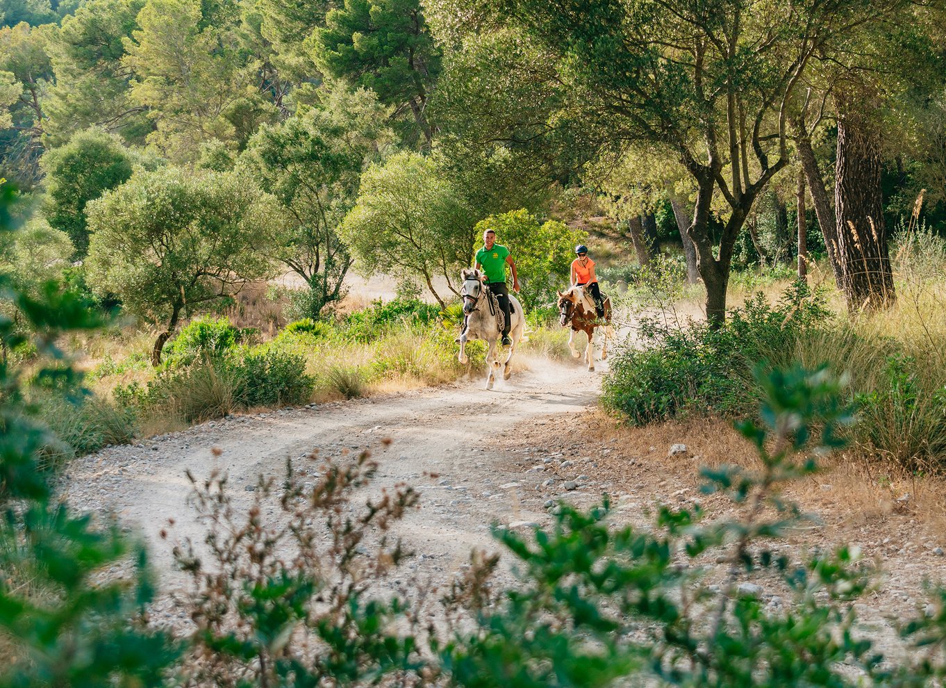 Mallorca: Oplevelse på hesteryg med mulighed for mad