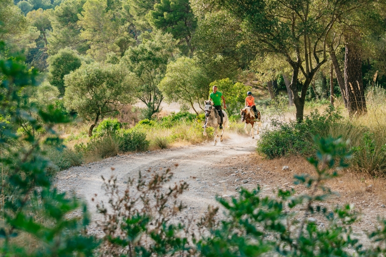 Mallorca: Experiencia de equitación de montaña con opción de brunchExcursión a caballo de 1 hora con almuerzo y recogida