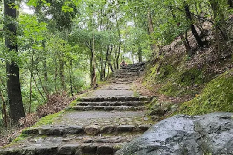 Kyoto: Guided Tour of Great Festivals and Cultural Events 8-Hour Romantic Couple’s Tour in Kyoto