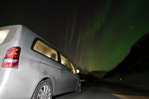 From Tromsø: Northern Lights Tour with Hot Drinks and Photos