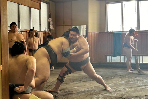 Tokyo: Besök Sumo Morning Practice med engelsk guide