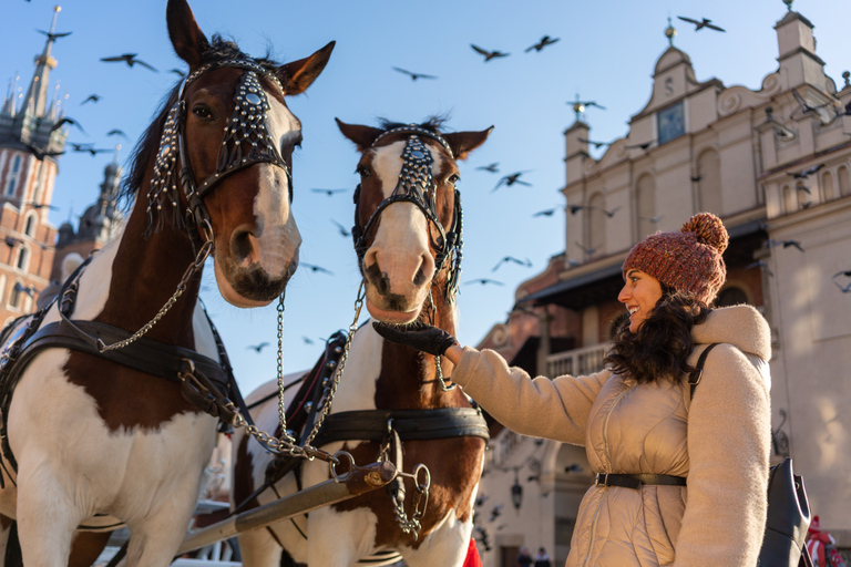 Czartoryski Palace Museum Tickets and Krakow Old Town Tour 3,5-hour: Old Town & Czartoryski Palace Tour