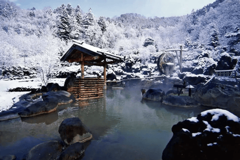 Sapporo: Lake Shikotsu & Jozankei Onsen Trip in small group