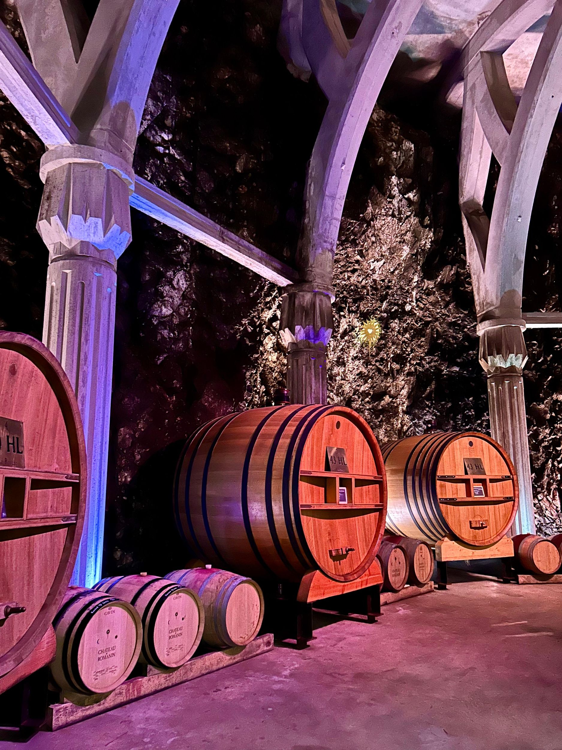 Private Tour durch die Alpilles, Weinproben und Restaurantbesuch