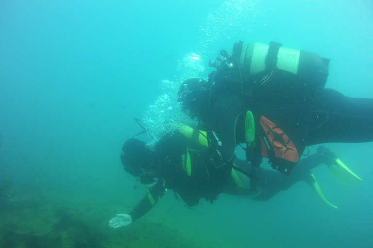 Haren: Introductory Diving/Try Scuba Haren: Try Scuba