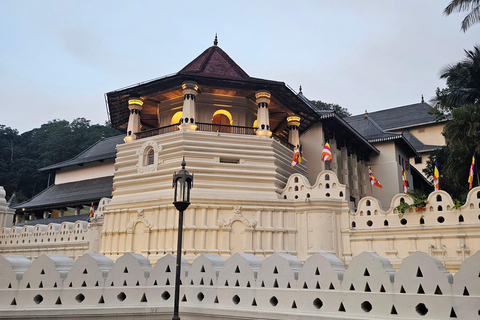 Sri Lanka: Cultural Triangle in 03-Days for Female Travelers