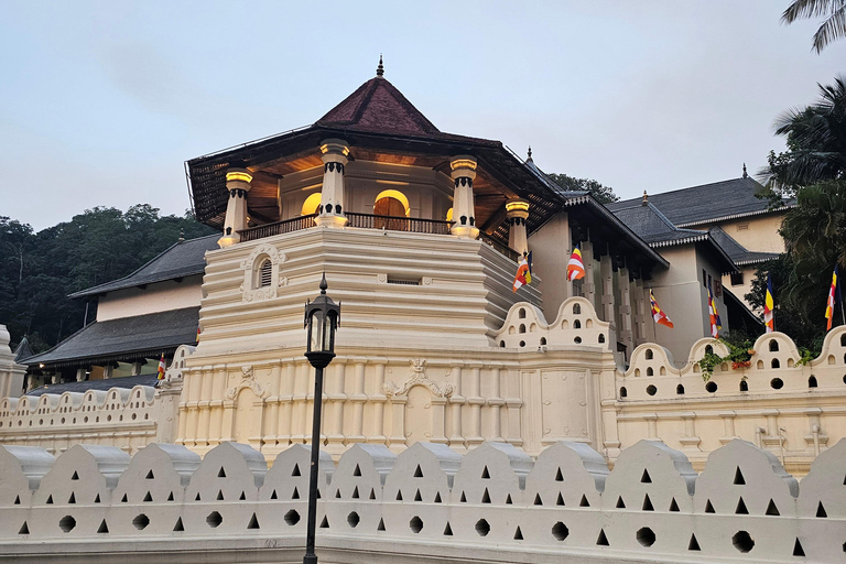 Sri Lanka: Cultural Triangle in 03-Days for Female Travelers