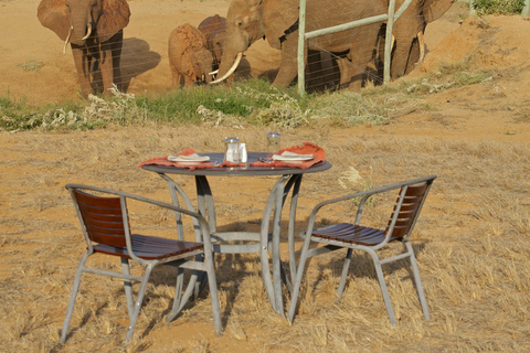 From Nairobi: 4-Day Safari to Amboseli Tsavo West &amp; East