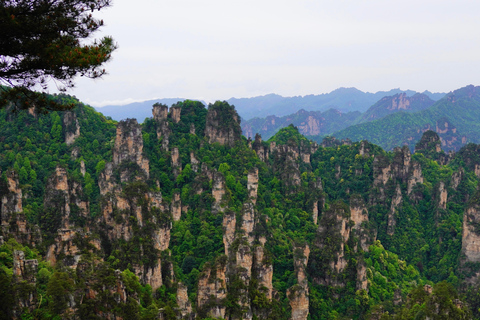 Zhangjiajie: Avatar Forest Park Group Tour or Ticket Big Group Tour with English Guide & Entry Ticket (11-16 ppl)