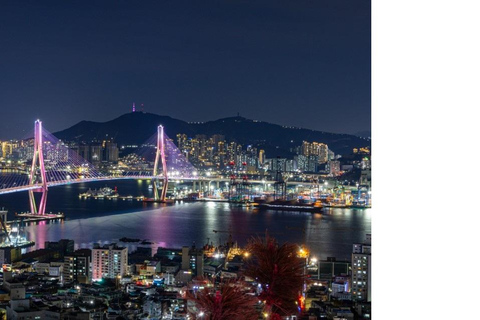 Busan: Private Tour with Songdo Cable Car Option