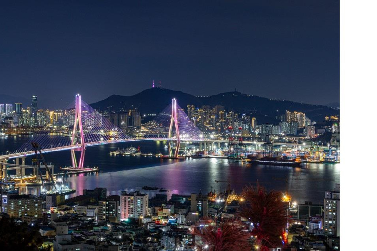 Busan: Private Tour with Songdo Cable Car Option