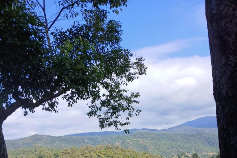 مغامرة لمدة 2-3 أيام في شيانغ ماي: قبائل التلال والفيلة والنهر2 أيام 1 ليلة واحدة: الحياة المحلية ورعا