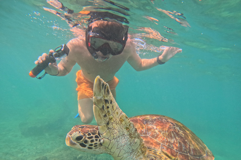 Mirissa / Polhena :Reef Snorkeling with Wild Sea Turtle Snorkeling in Mirissa