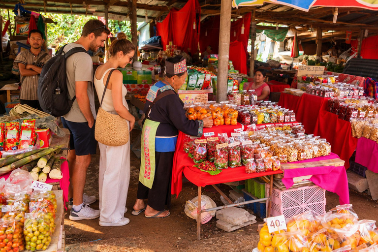 Chiang Mai: Doi Inthanon National Park Waterfalls & Pagodas