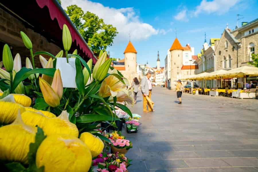 Altstadt von Tallinn: Geschichten und Ausblicke 2-stündiger Rundgang. Foto: GetYourGuide