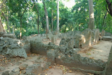 Mtwapa: Jumba-Ruins &amp; BushVillage dagtour en dorpsdiner.