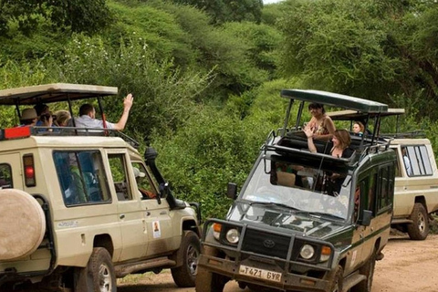 4 Lodge Tansania SafariLodge Tansania Safari