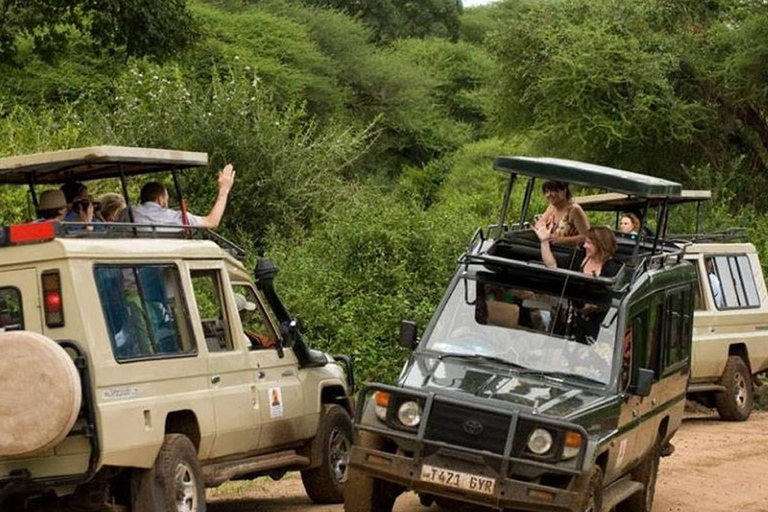 4 Lodge Tansania SafariLodge Tansania Safari