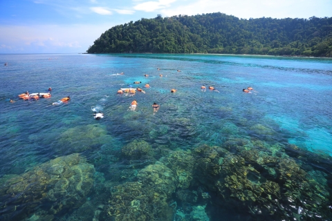 Au départ de Khao Lak : Excursion en hors-bord aux îles Surin avec plongée en apnée