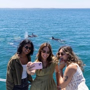 Jervis Bay Dolphin Cruise, Lunch, Berry & Kiama Blowhole Tour