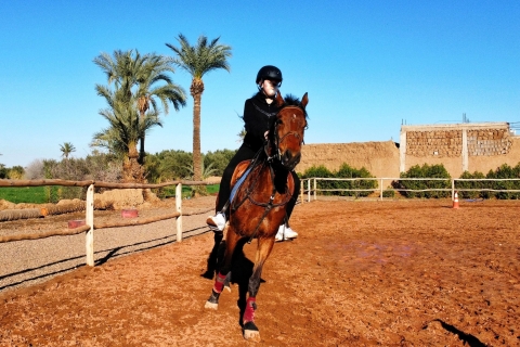Marrakech: Private horseback ride in the palm grove with tea