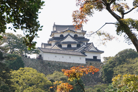 Kyoto: Lake Biwa Cruise, Chikubu Island, & Hikone Castle