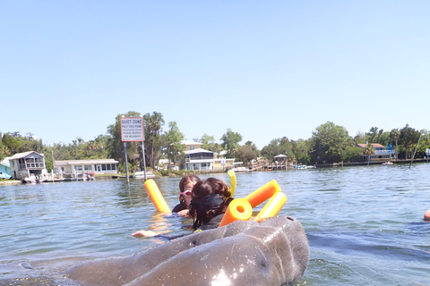 Crystal River: Guided Manatee Tour Heated Boat Free Photos